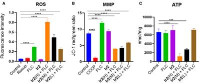 Cyclometalated iridium(III) complexes combined with fluconazole: antifungal activity against resistant C. albicans